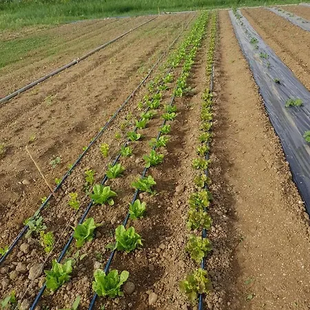 Il Casale Ponte Galeria